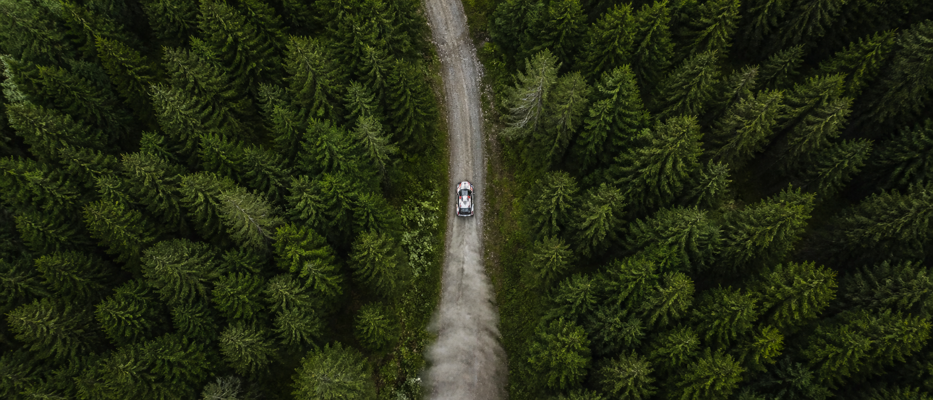 Aerial view of a forest stage