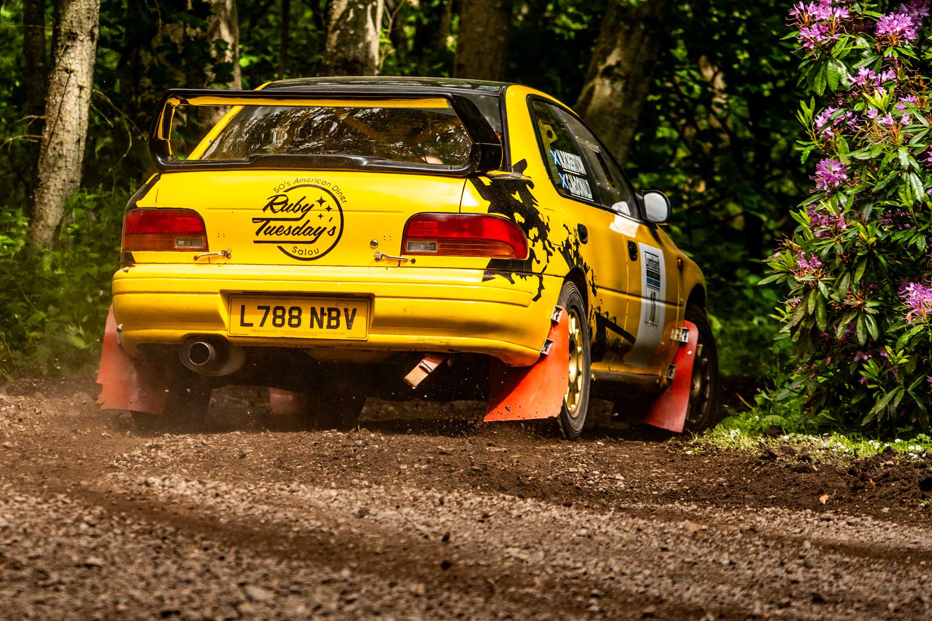 Rally car on a forest stage